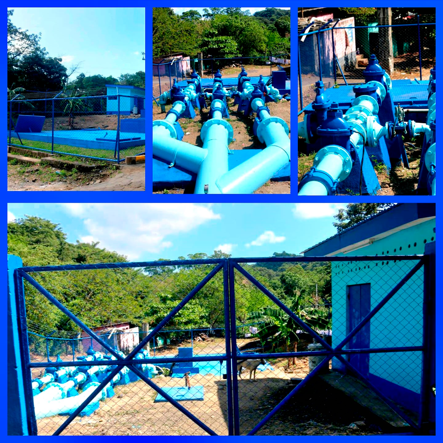 Imagen 5