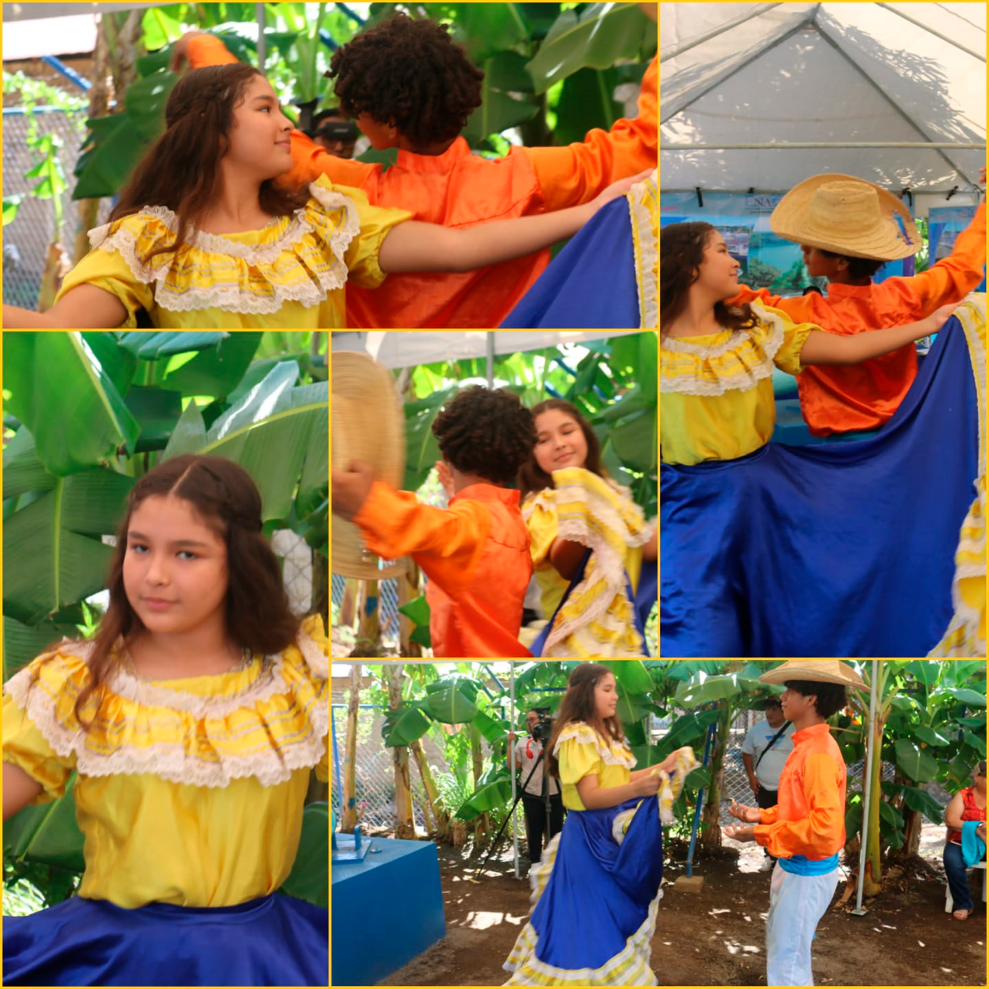 Imagen 10
