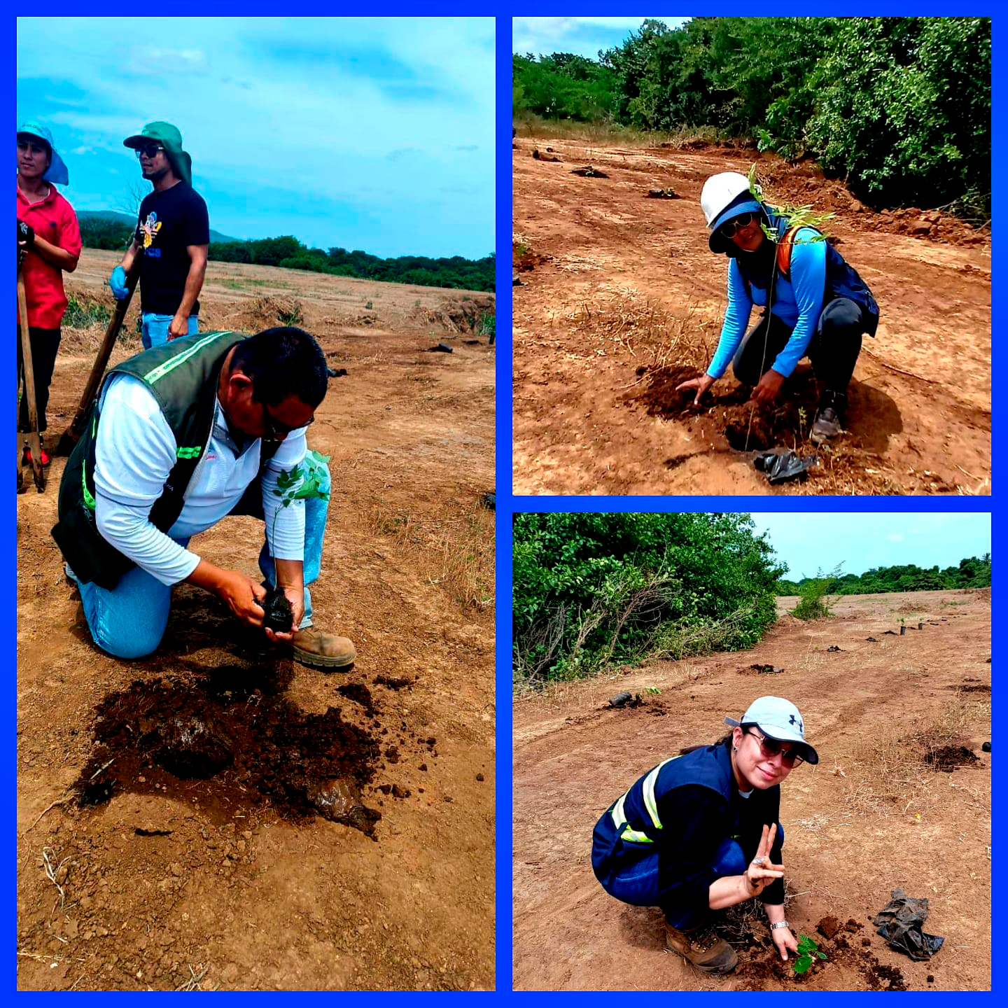 Imagen 5