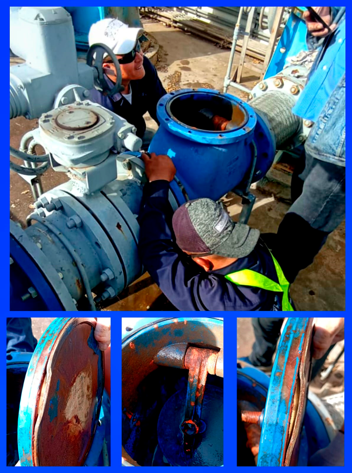 Imagen 5