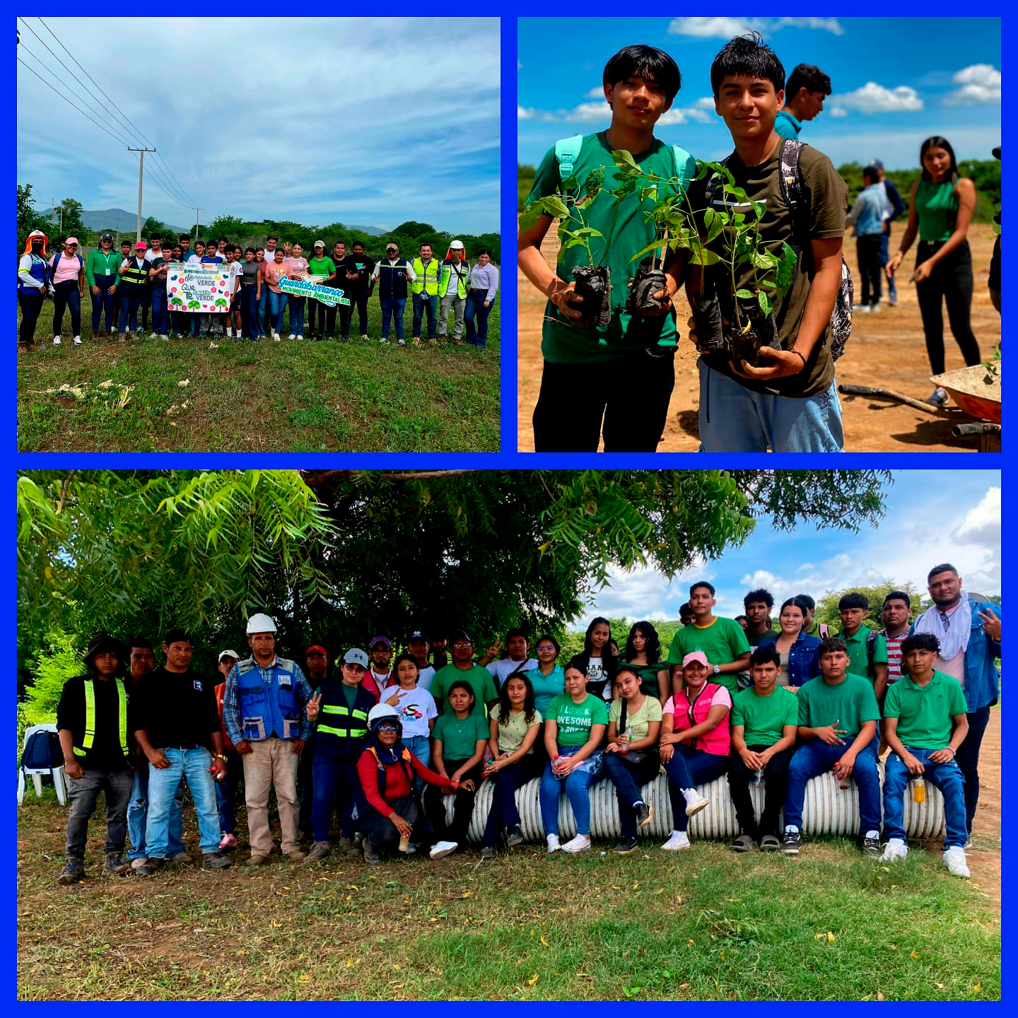Imagen 7