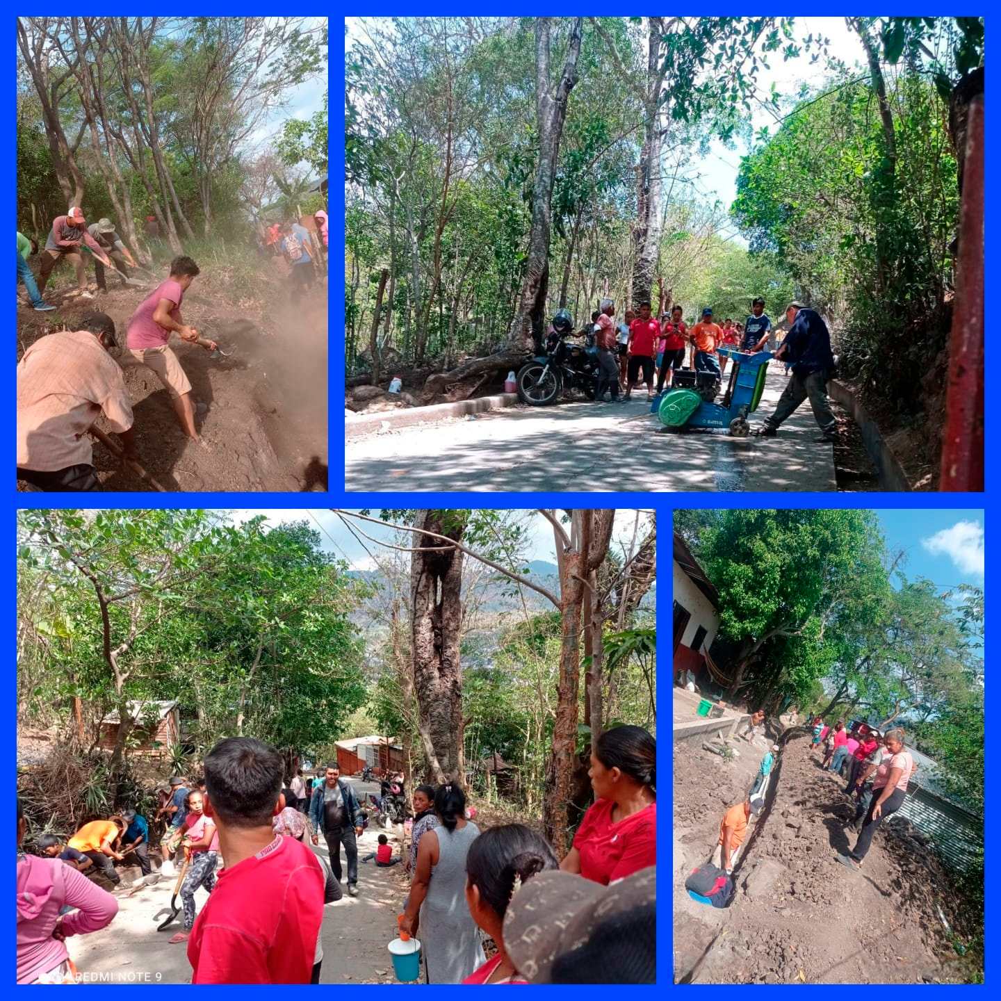 Imagen 5